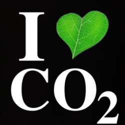 I Heart Love Co2 T Shirt 39719051