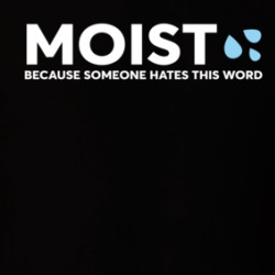 Moist Because Someone Hates This Word Funny T Shirt 39722973