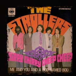 The Strollers Asian Album Cover T Shirt 39723745