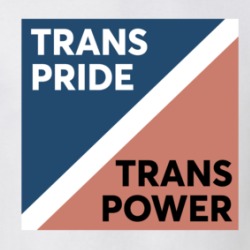 Trans Pride Trans Power T Shirt 39724206