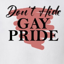 Don't Hide Gay Pride T Shirt 39724211