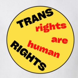 Trans Rights Are Human Rights T Shirt 39724212