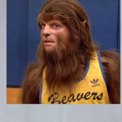Teen Wolf Funny 80s Movie Fan T Shirt 39727261