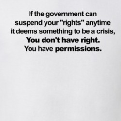 You Don't Have Rights You Have Permissions T Shirt 39727304