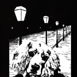 Oh Boy What A Night Cute Puppy T Shirt 39730270