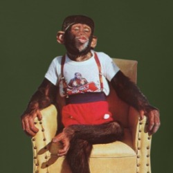 Chimpanzee Sitting In Armchair T Shirt 39730275
