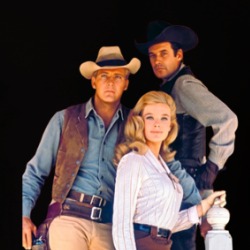 The Big Valley Tv Show Fan T Shirt 39750664