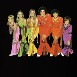 The Brady Bunch Disco Outfits Tv Series Fan T Shirt 39759490