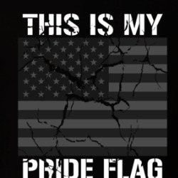 This Is My Pride Flag United States Usa Proud T Shirt 39761646