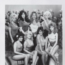 Hee Haw Honeys Tv Fan T Shirt 39761651