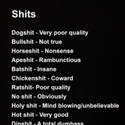 Multiple Meanings Of The Word Shit Funny T Shirt 39764670