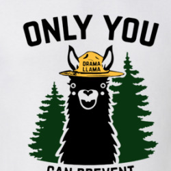 Drama Llama Only You Can Prevent Drama T Shirt 39764671