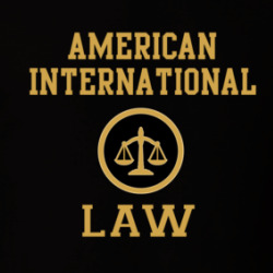 American International Law School Graduate T Shirt 39771600