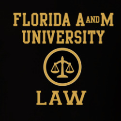 Florida A&m University Law School Graduate T Shirt 39771647