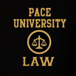 Pace University Law School Graduate T Shirt 39771715