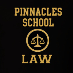 Pinnacles School Law School Graduate T Shirt 39771722