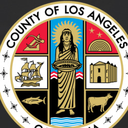 L A California Fan T Shirt 39777147