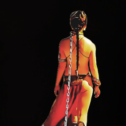 Star Wars Princess Leia Slave Leia Movie Fan T Shirt 39778379