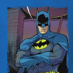Batman Bruce Wayne Comic Fan T Shirt 39780404