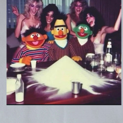 Bert And Ernie Party Time Funny T Shirt 39782757