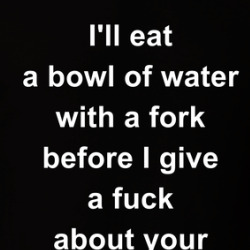 I'll Eat A Bowl Of Water With A Fork Before I Give A Fuck About Your Opinion T Shirt 39813533