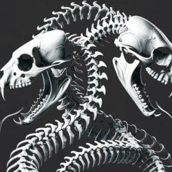 Double Headed Snake Fantasy T Shirt 39831162