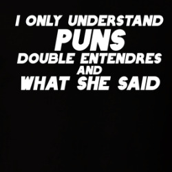 Puns Double Entendres What She Said Funny T Shirt 39855849