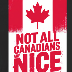 Not All Canadians Are Nice True North Pride T Shirt 40125976