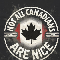 Not All Canadians Are Nice Canada True North Strong And Free T Shirt 40125980