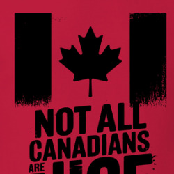 Not All Canadians Are Nice T Shirt 40133054