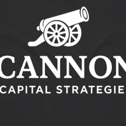 Cannon Capital Strageties Shadows Parody Funny T Shirt 40152263
